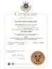 ISO 9001 belgesi